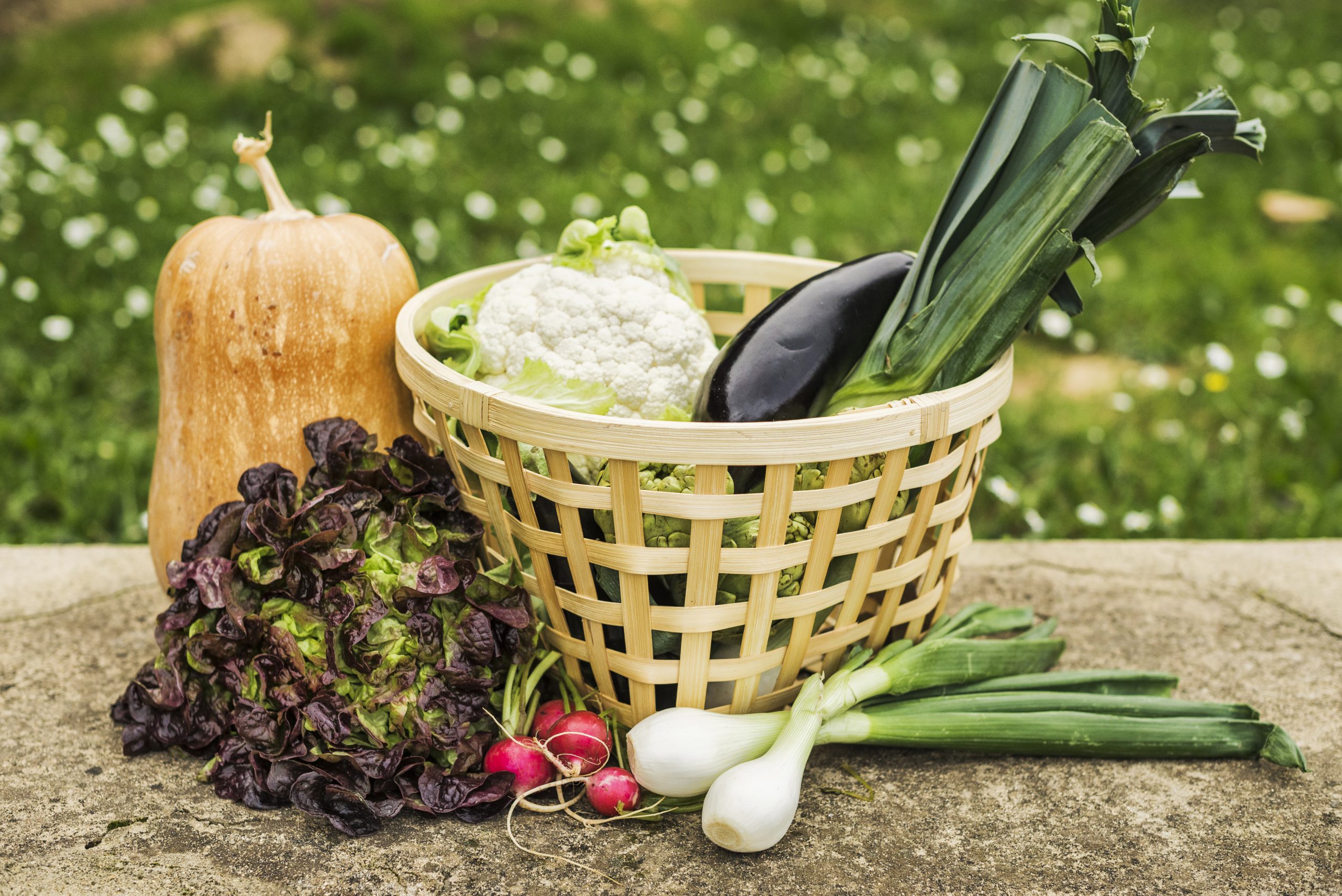 ¿Ahorro real en mi cesta de la compra alquilando un huerto urbano?: Hacia la independencia alimentar...