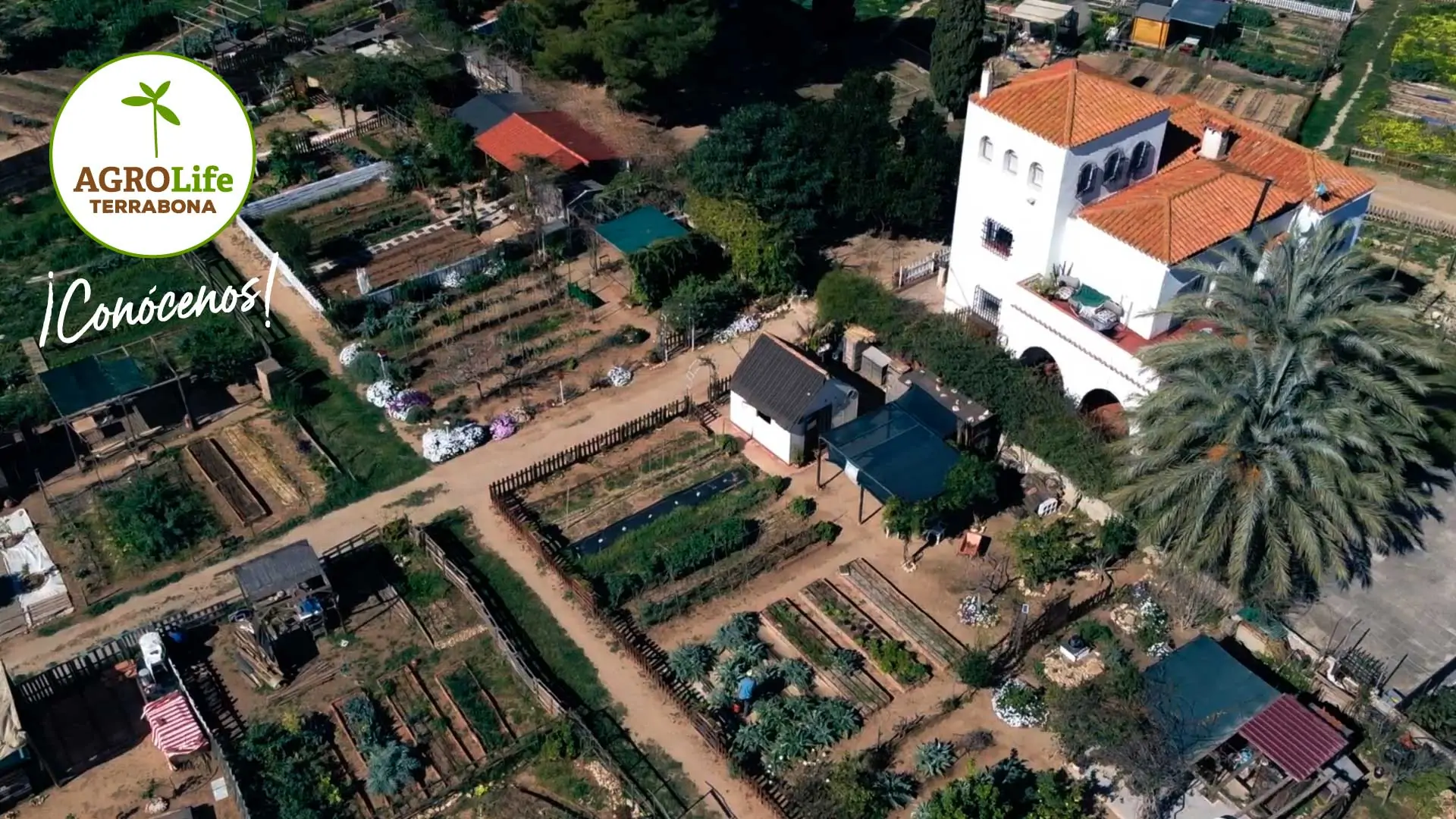 Imagen principal del huerto