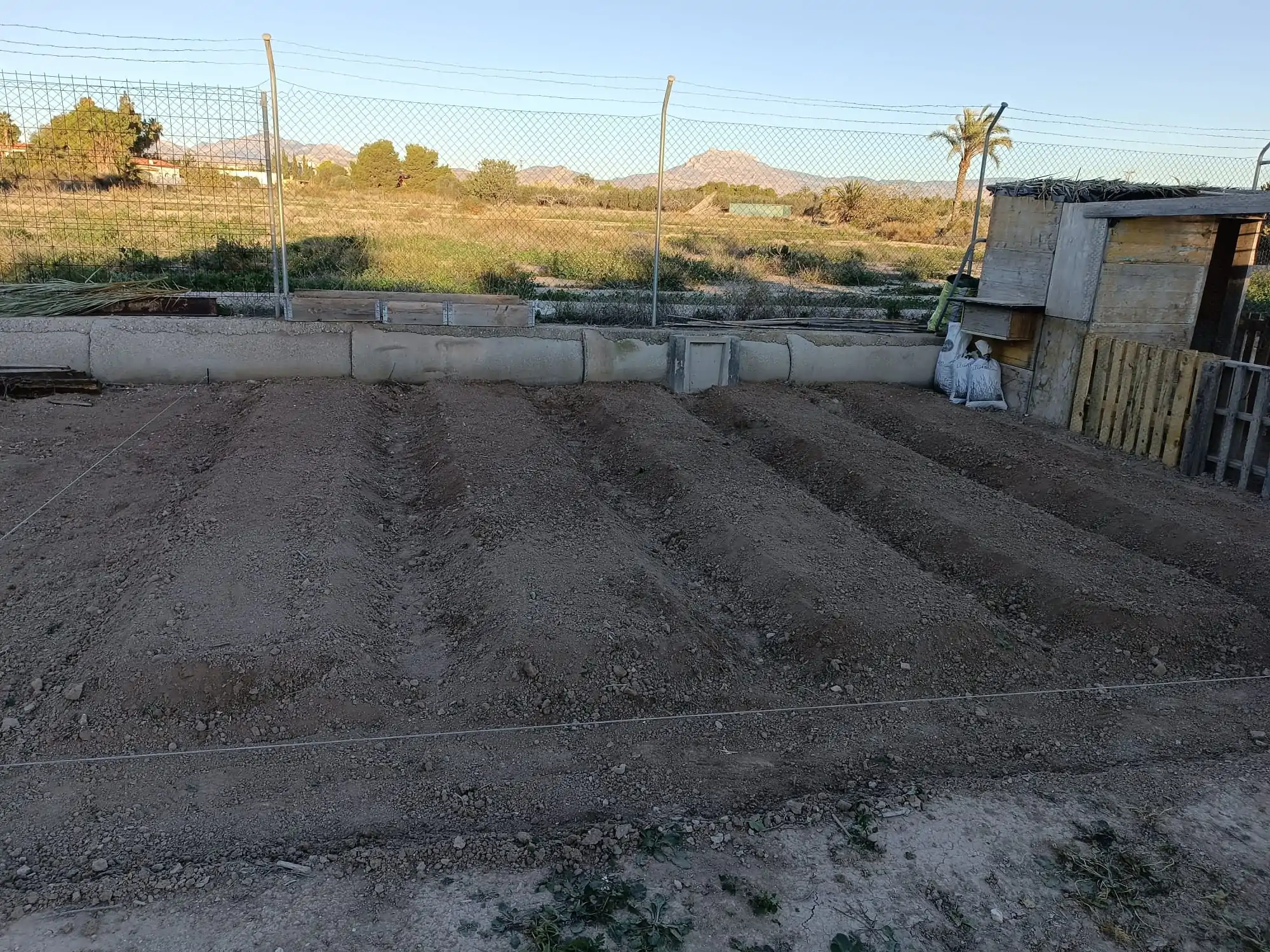 Imagen principal del huerto