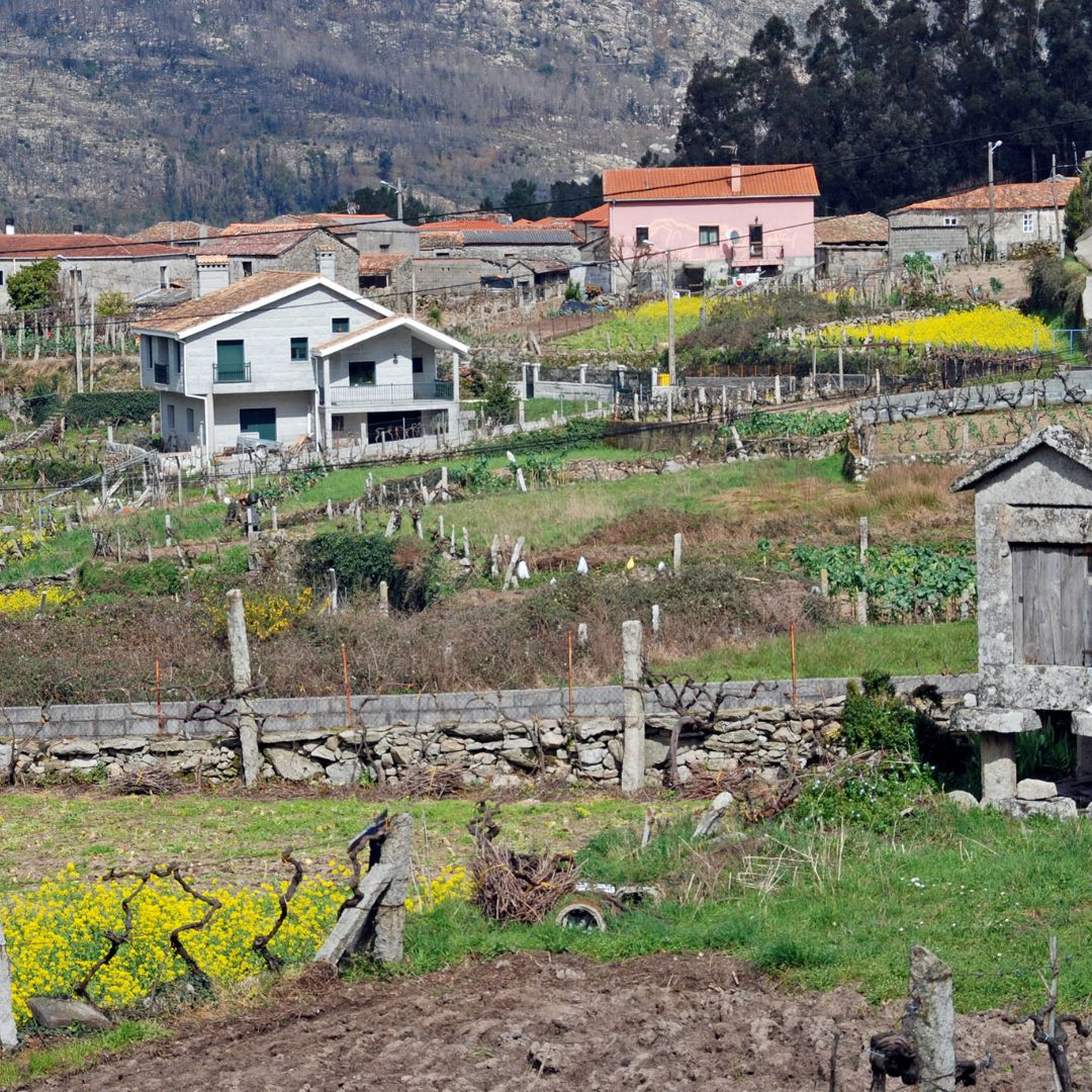 Imagen principal del huerto
