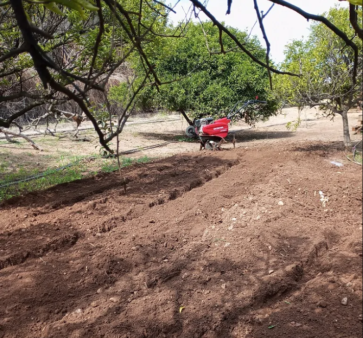 Image Description