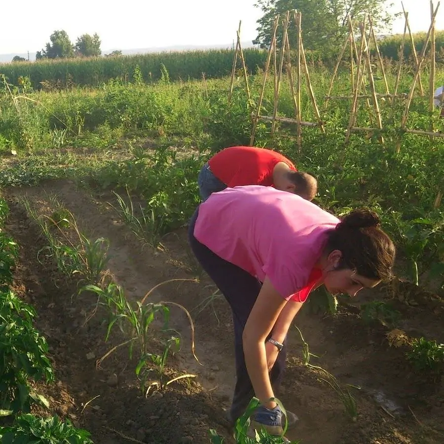 Imagen principal del huerto