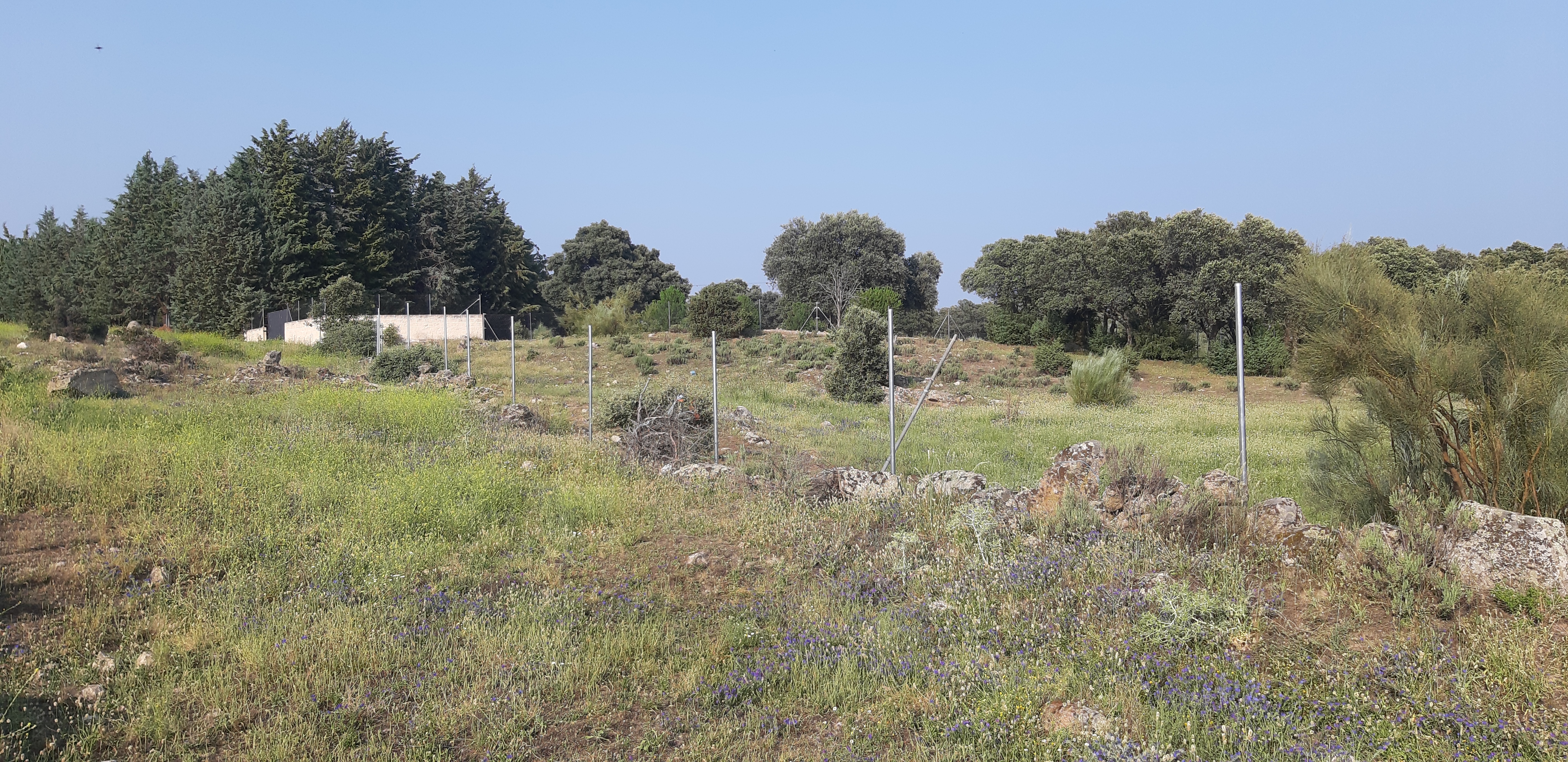 Imagen del huerto