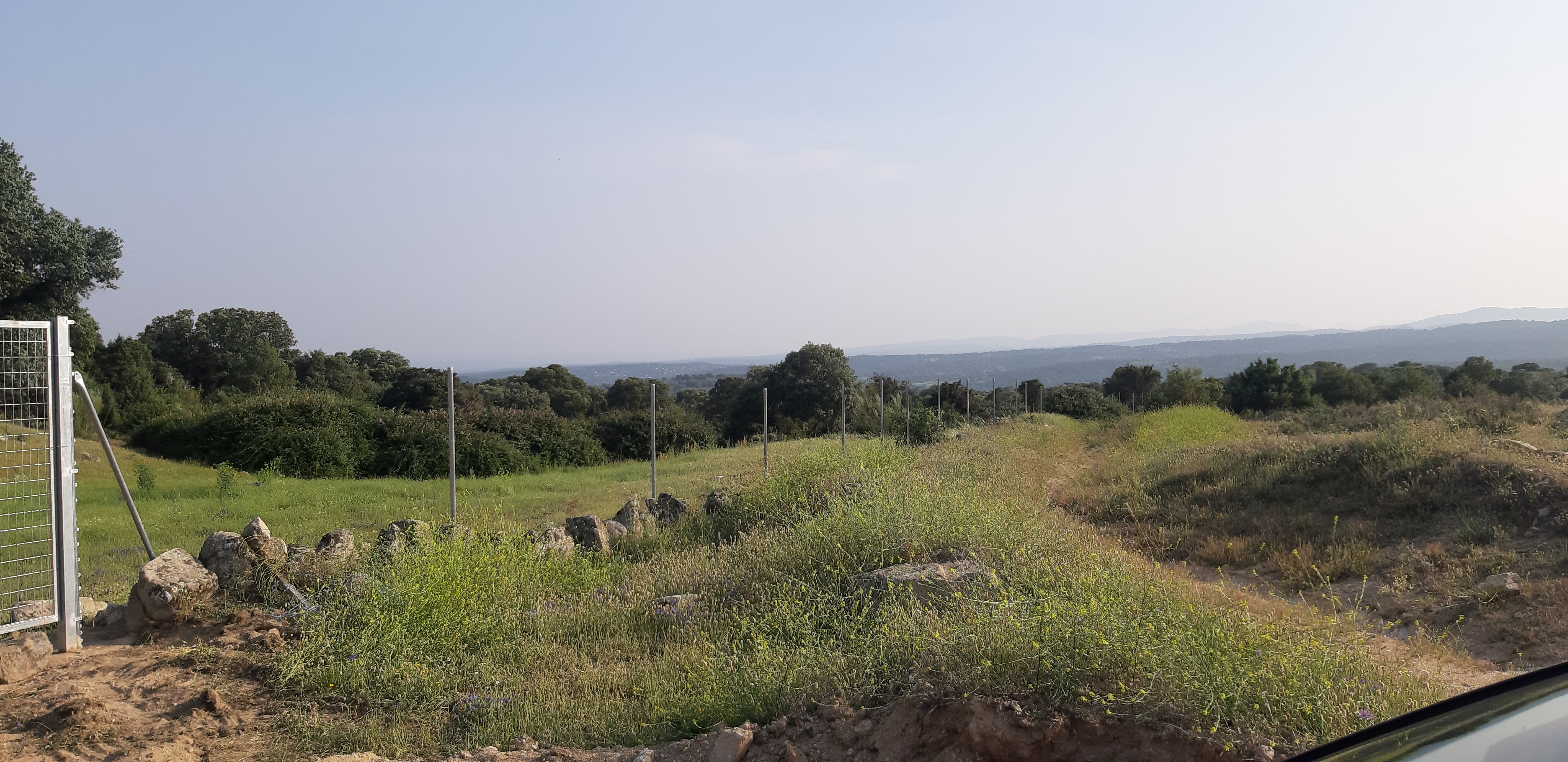 Imagen del huerto