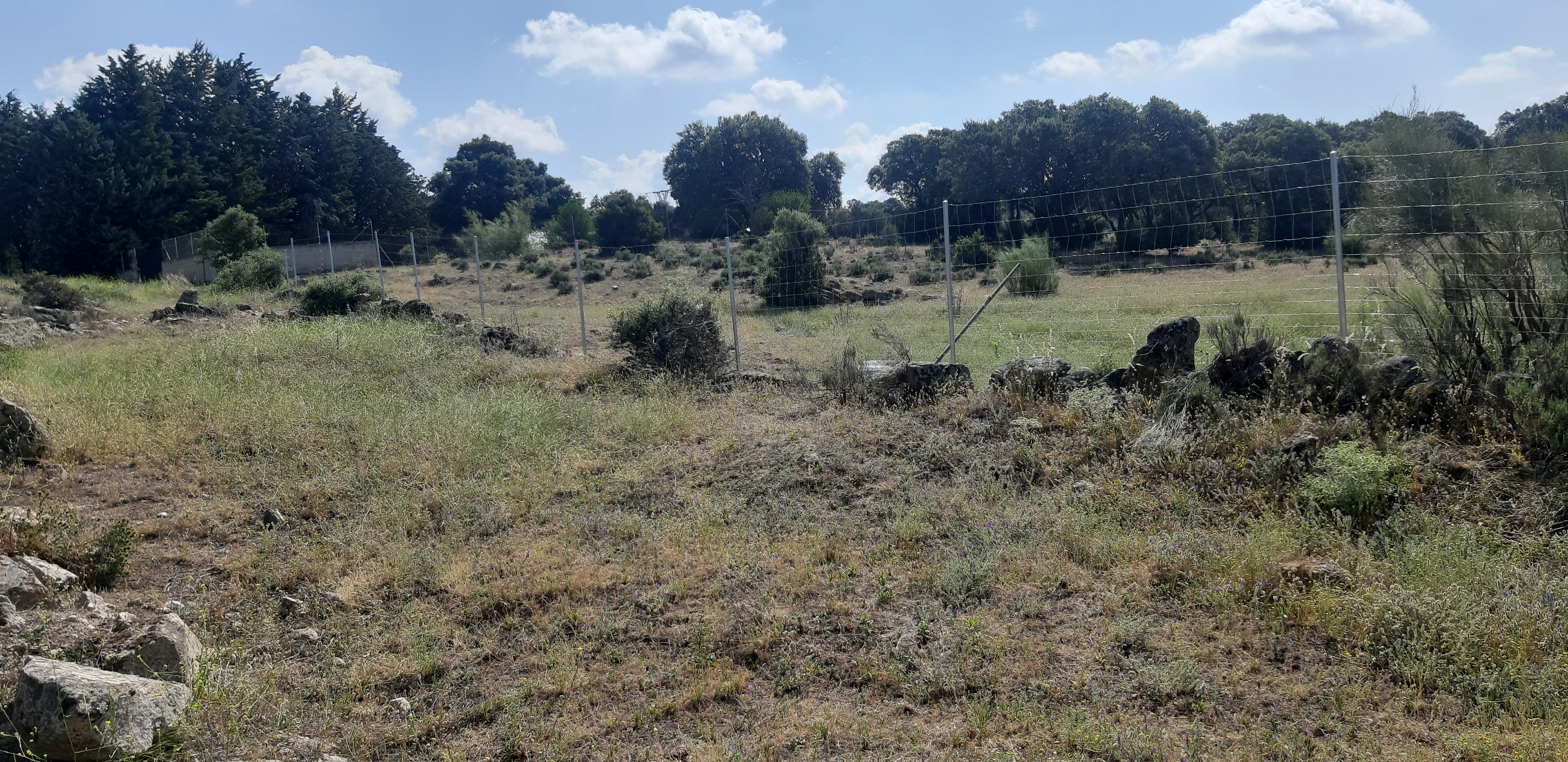 Imagen del huerto